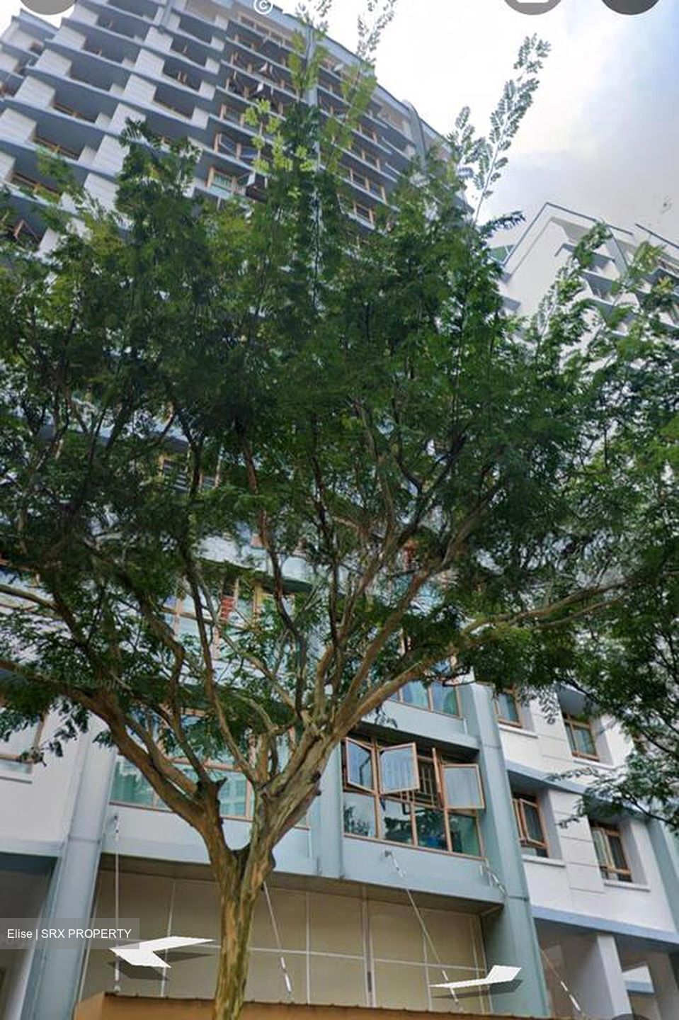 Blk 317B Anchorvale Road (Sengkang), HDB 4 Rooms #503901291